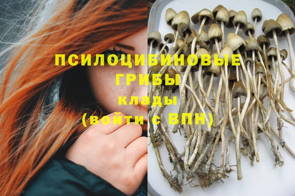 кокс Армянск